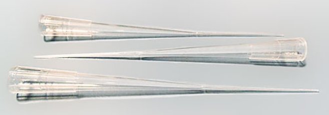 092224_891448_jswz.png 092224_891448_jswz.png