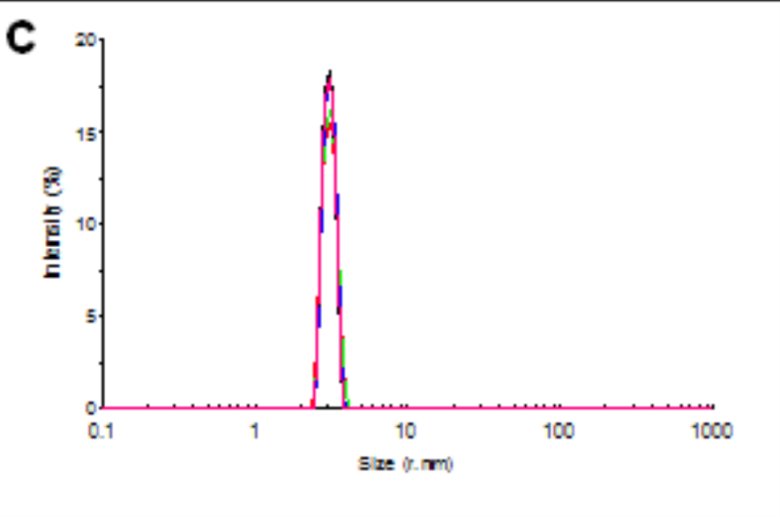 092506_443181_jswz.png 092506_443181_jswz.png