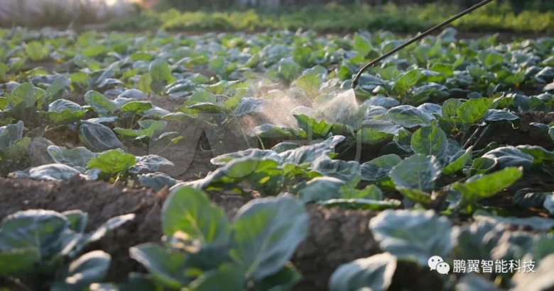 083725_062508_gsdt.jpg 083725_062508_gsdt.jpg