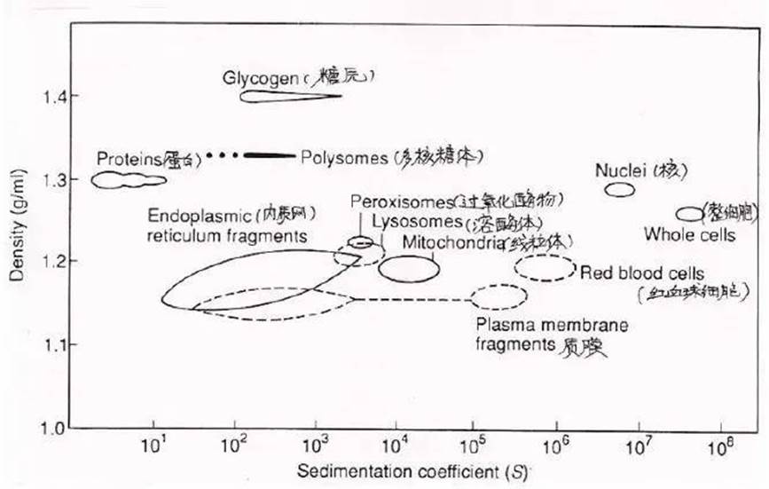 163520_556487_jswz.jpeg image3.jpeg