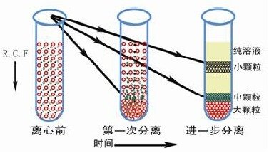 170036_027829_jswz.jpg image001.jpg