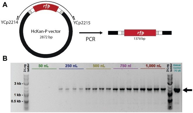 090147_383697_jswz.png 090147_383697_jswz.png