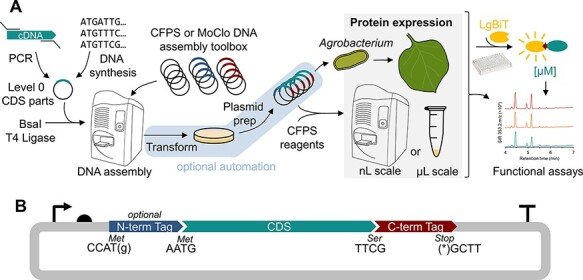 090218_538009_jswz.png 090218_538009_jswz.png