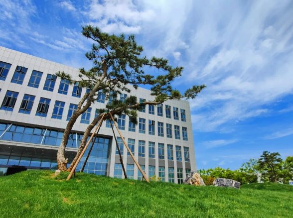 102459_055607_gsdt.png 102459_055607_gsdt.png