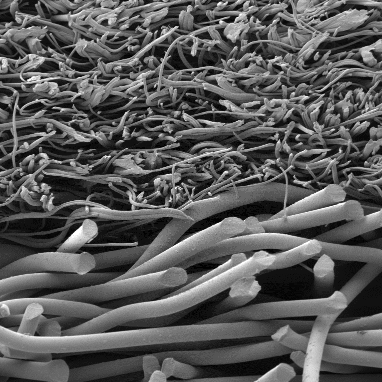 092428_655516_gsdt.png 092428_655516_gsdt.png