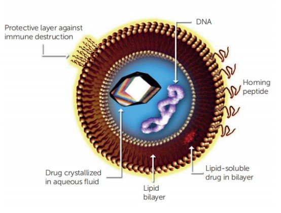 154735_577440_jswz.png 154735_577440_jswz.png