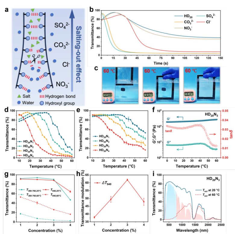 081952_379172_gsdt.png 081952_379172_gsdt.png