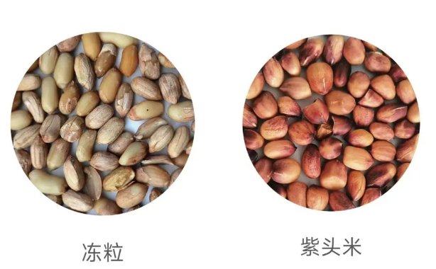 091445_354415_gsdt.png 091445_354415_gsdt.png