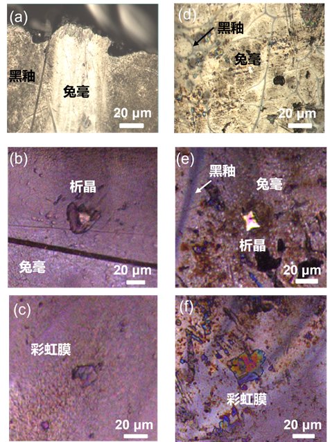 084601_560533_jswz.png 微信圖片_20250912084340.png