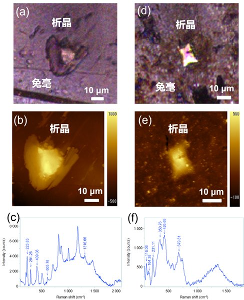 084633_612105_jswz.png 微信圖片_20250912084345.png